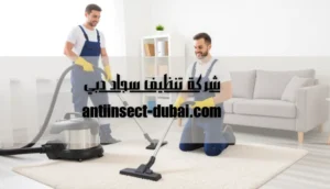 شركة تنظيف سجاد دبي
