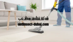 شركة تنظيف سجاد دبي